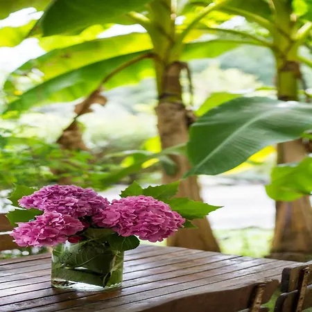 Appartement Colorful In Basque Style In A Green Environment La Bastide-Clairence